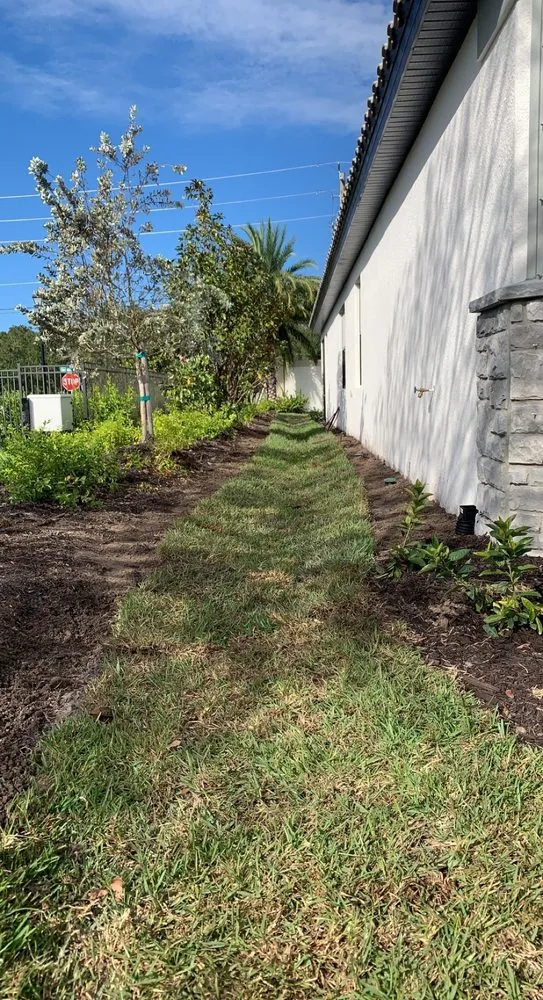 Expert lawn care service in Palmetto, FL - Sunny Site Services