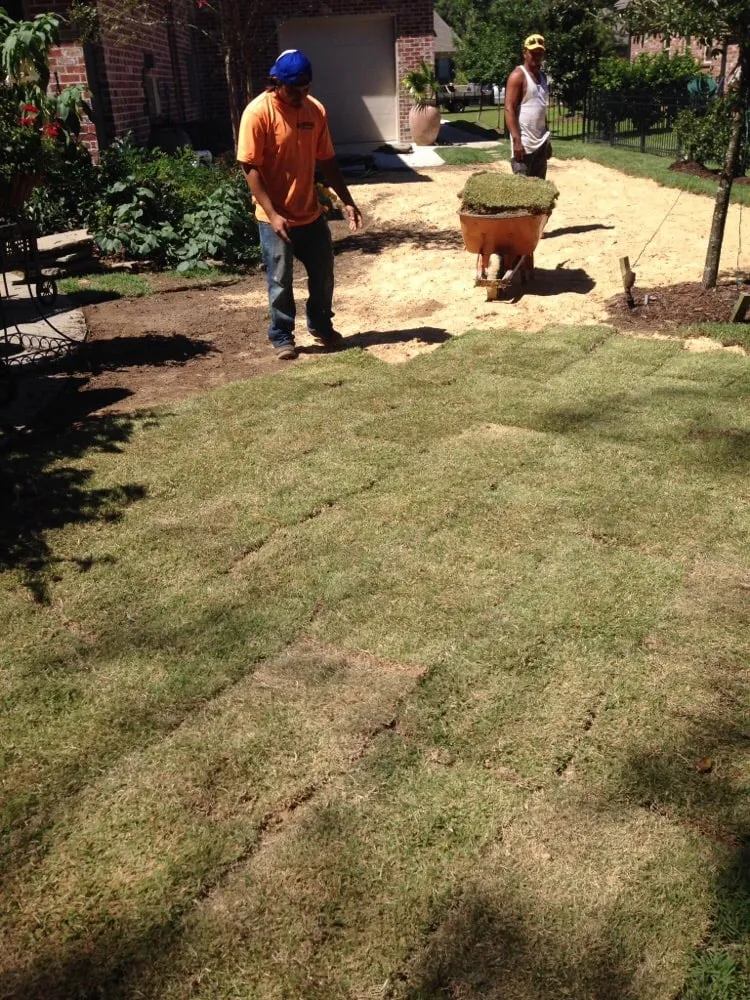 Professional outdoor landscaping in Slidell, LA by Sunny Sod and Sodding Services