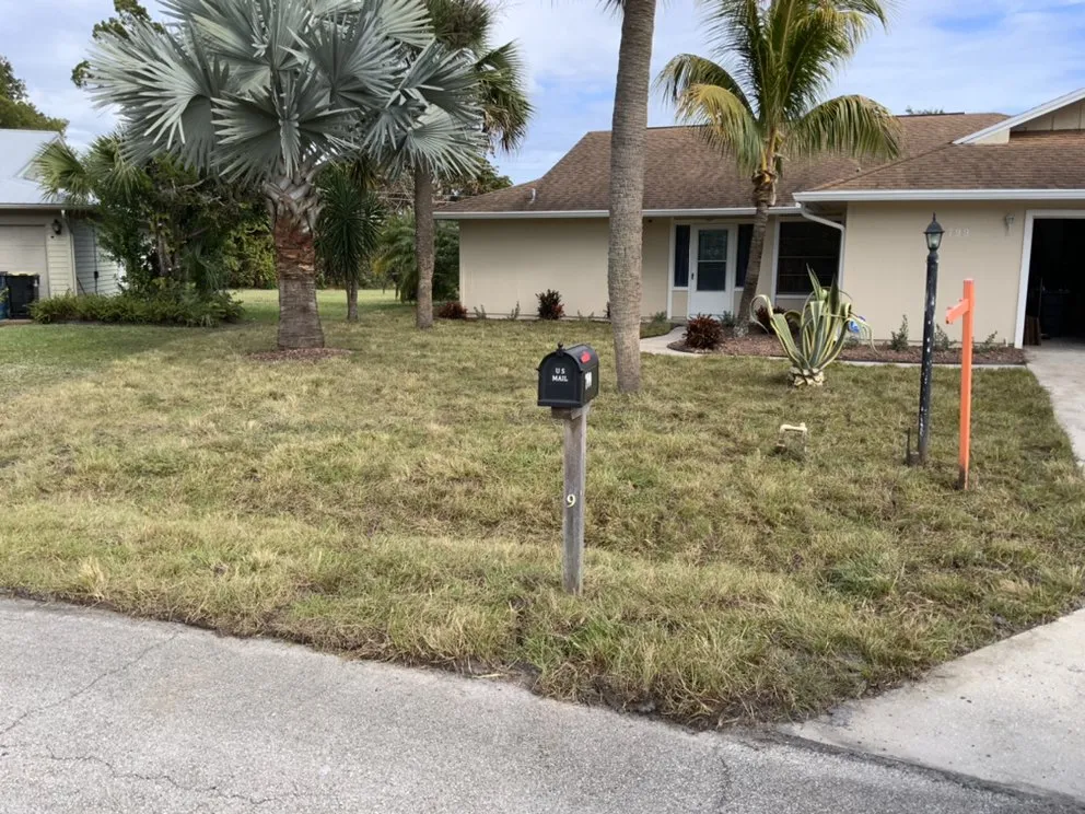 Local landscape installation in Grant Vlkria, FL - Sunny Sod Up