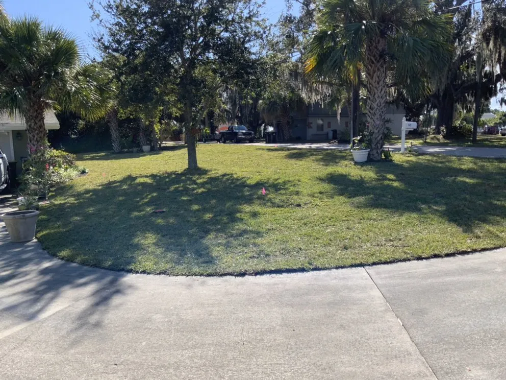 Local landscaping services in Grant Vlkria, FL - Sunny Sod Up
