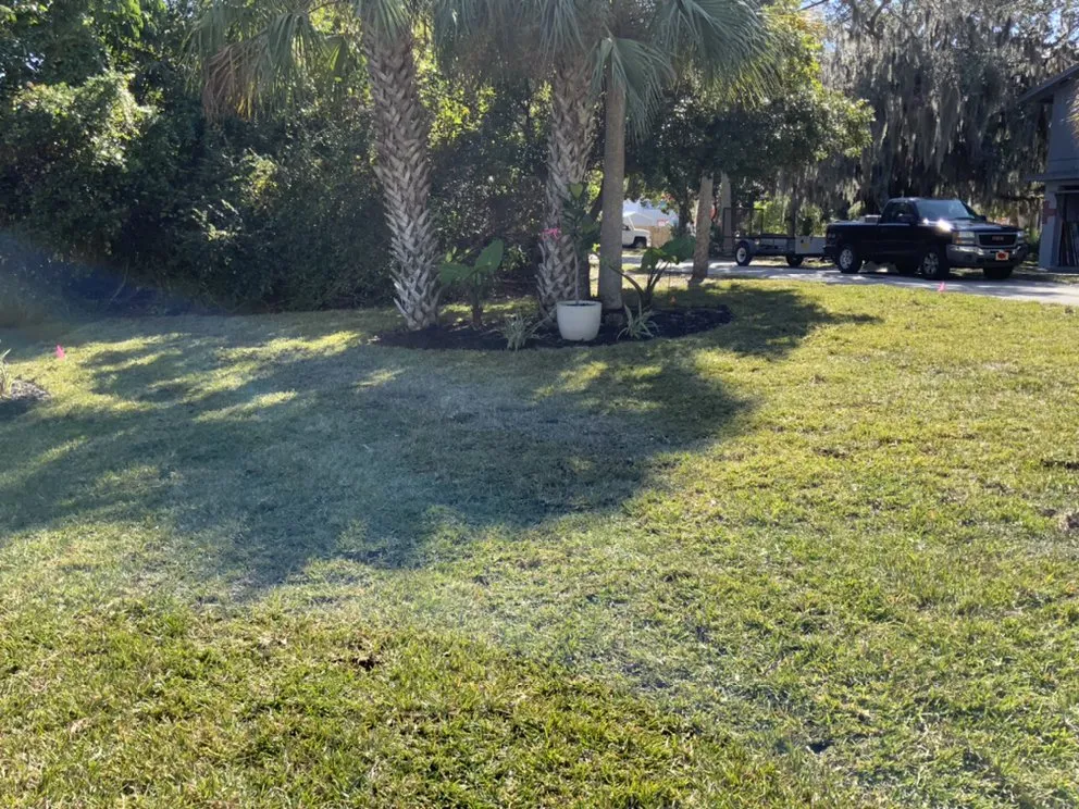 Professional residential landscaping experts serving Grant Vlkria, FL - Sunny Sod Up