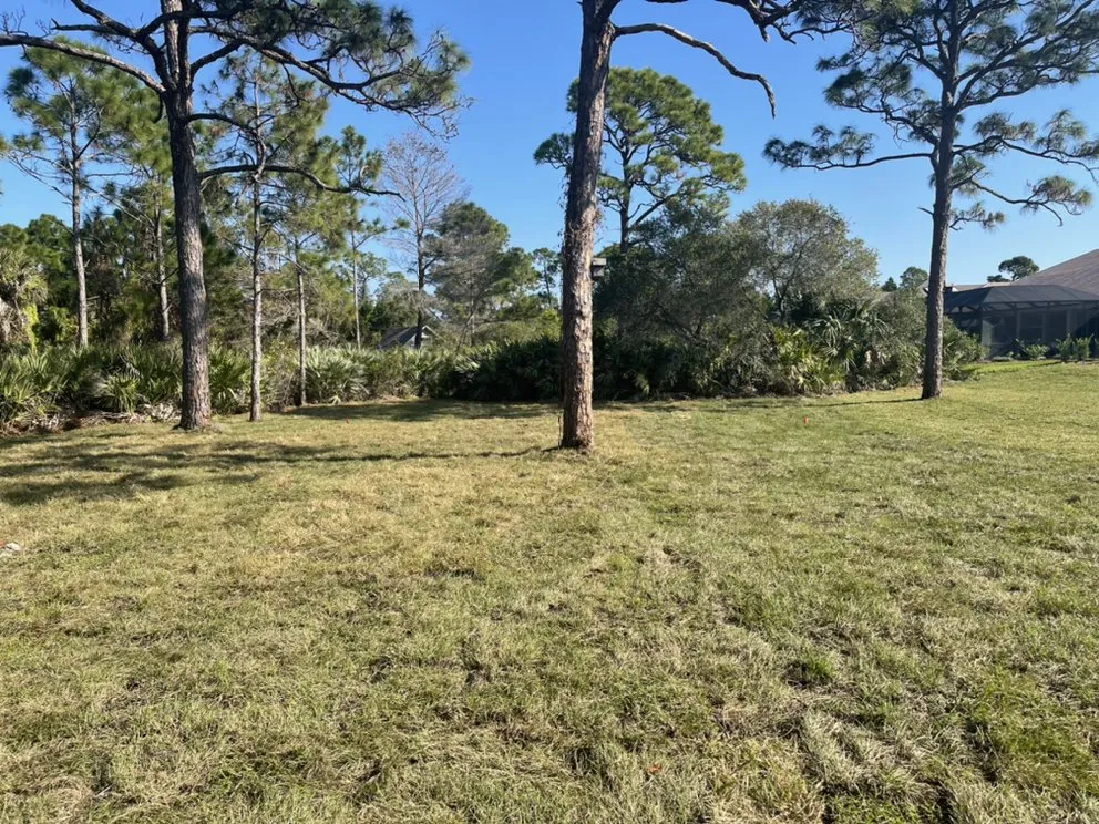Top-rated lawn mowing service for year-round maintenance in Grant Vlkria, FL by Sunny Sod Up