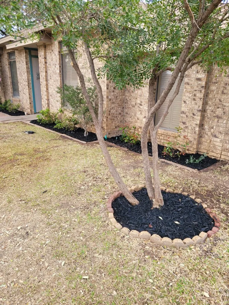Expert yard cleanup service for outdoor upgrades across Midland, TX - Sunny times landscaping