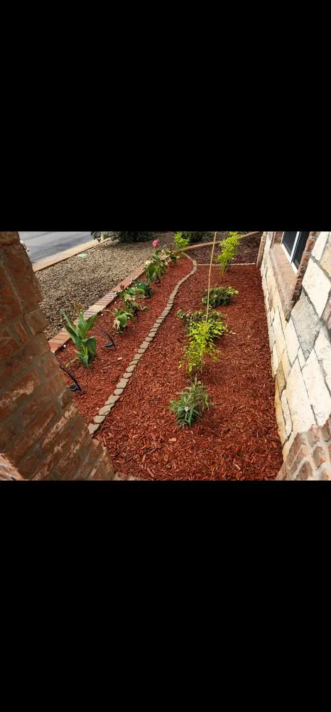 Reliable lawn care service in Midland, TX - Sunny times landscaping