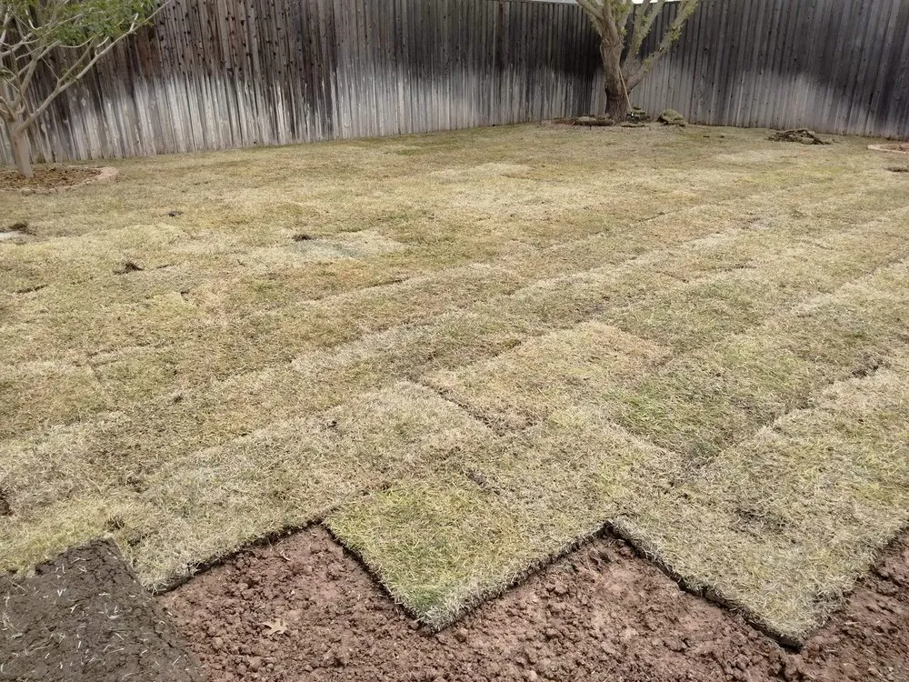 Trusted residential landscaping for year-round maintenance in Midland, TX by Sunny times landscaping