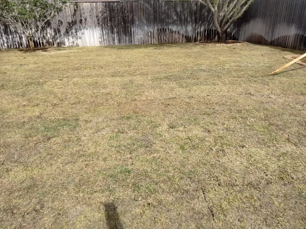 Professional yard cleanup service in Midland, TX - Sunny times landscaping