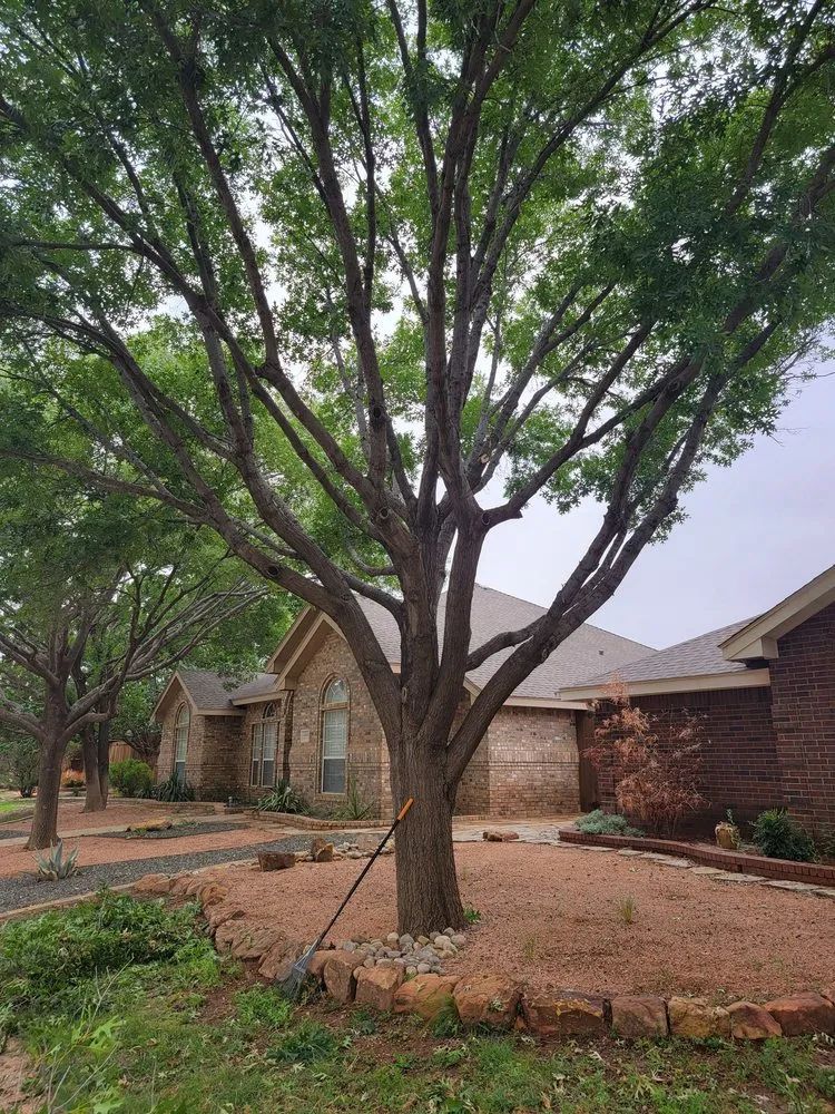 Reliable residential landscaping in Midland, TX by Sunny times landscaping