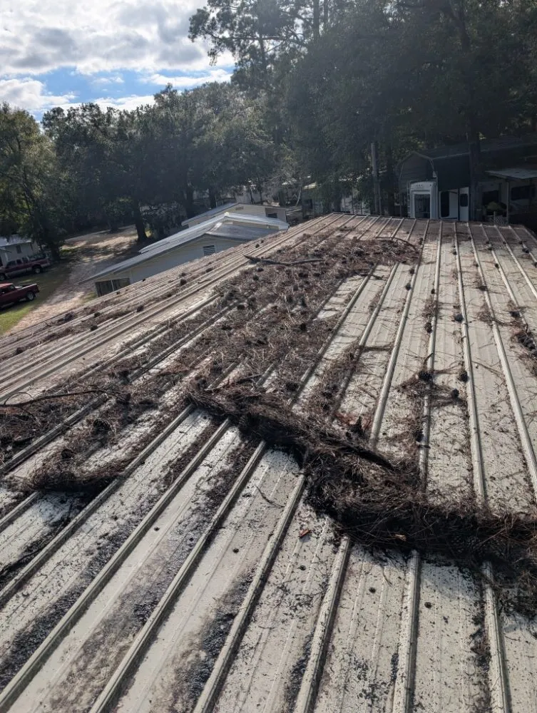 Custom yard maintenance in Dothan, AL by Sunny Yard Maintenance