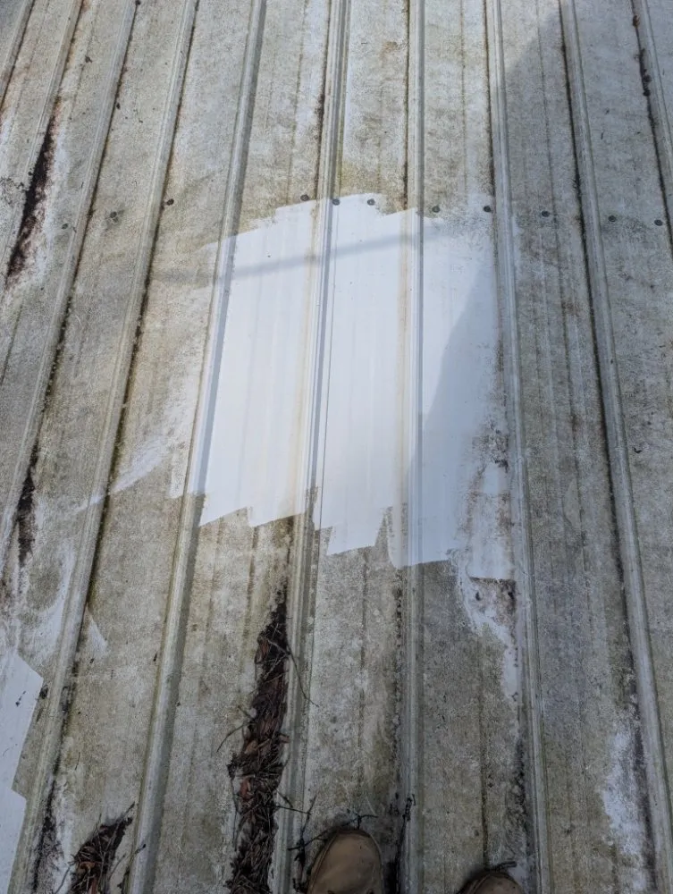 Custom lawn mowing service in Dothan, AL by Sunny Yard Maintenance