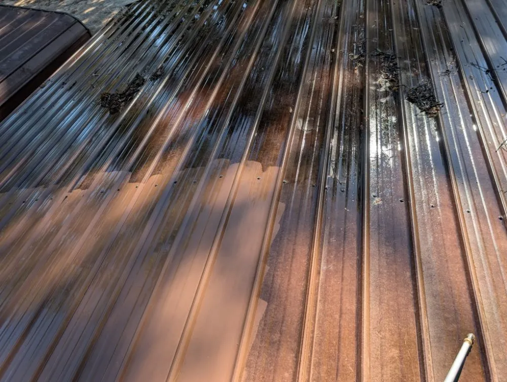 Professional landscape design in Dothan, AL - Sunny Yard Maintenance