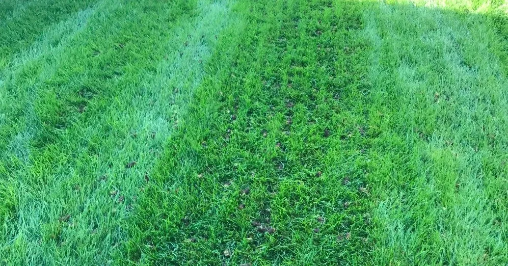 Trusted outdoor landscaping for homes in Troy, MI by Sunnydale Lawn Care