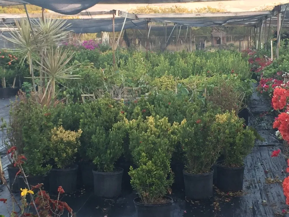 Trusted lawn care service experts serving Ruskin, FL - SunnyDays Nursery & Landscaping