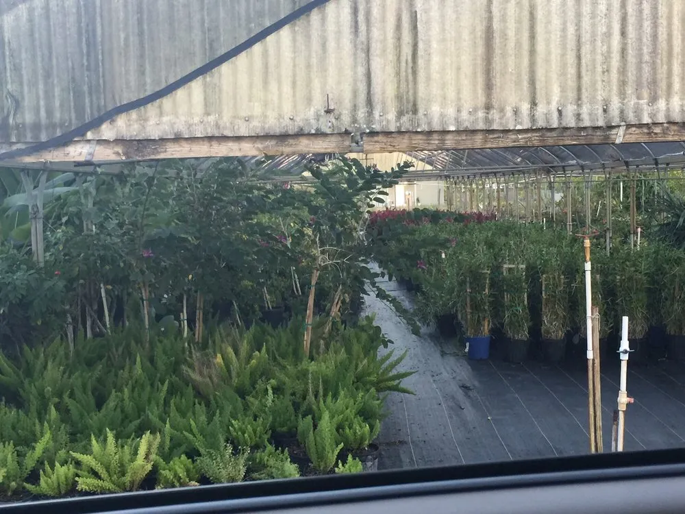 Trusted outdoor landscaping experts serving Ruskin, FL - SunnyDays Nursery & Landscaping