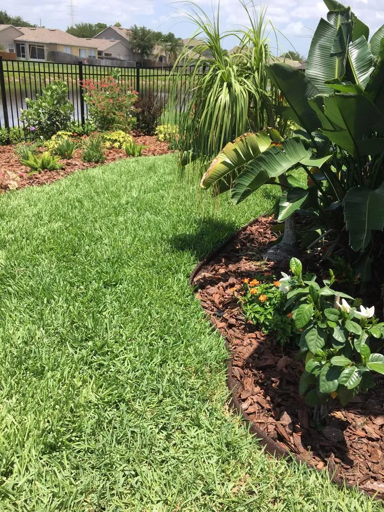 Reliable yard maintenance for outdoor upgrades in Ruskin, FL by SunnyDays Nursery & Landscaping