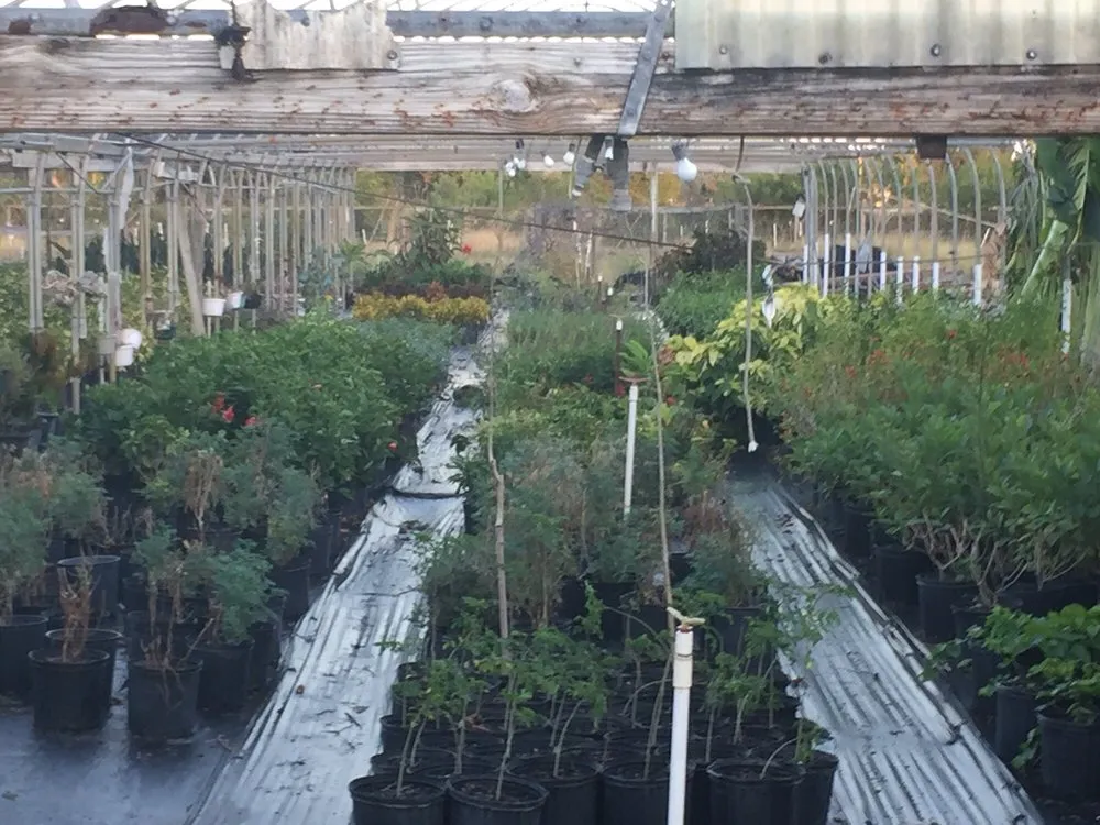 Reliable lawn mowing service for outdoor upgrades in Ruskin, FL by SunnyDays Nursery & Landscaping