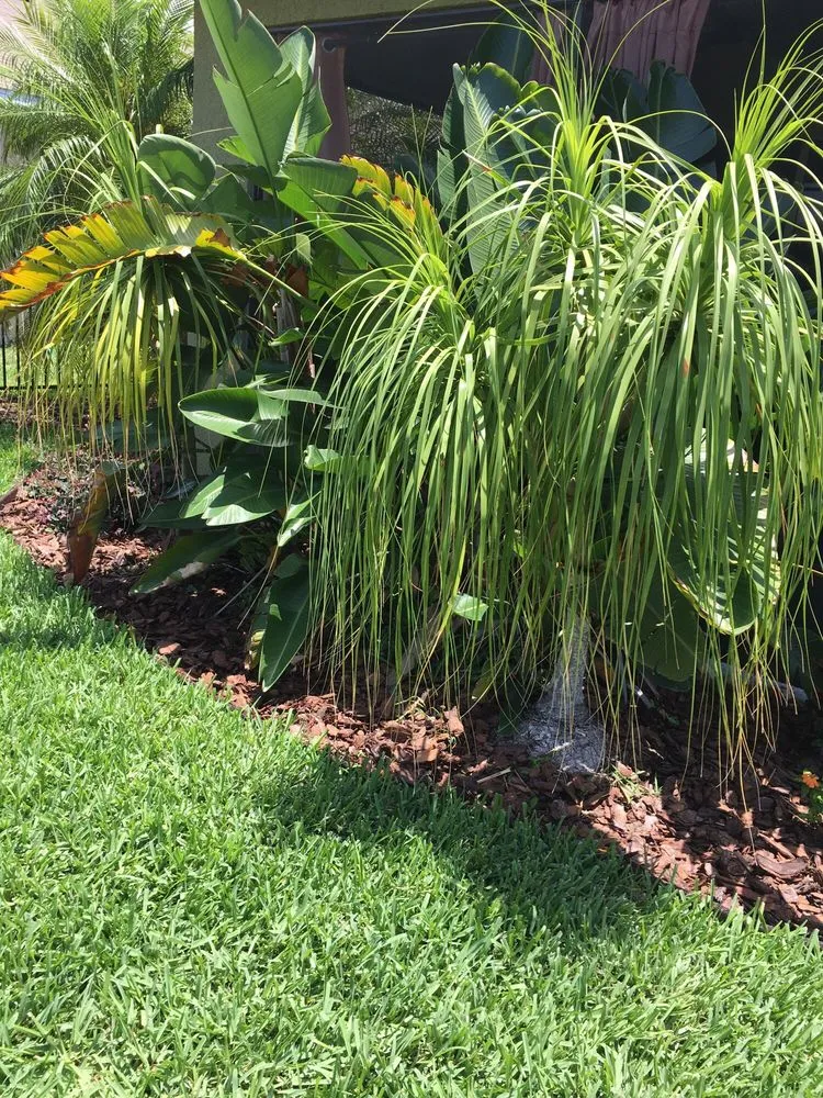 Affordable garden landscaping with custom design across Ruskin, FL - SunnyDays Nursery & Landscaping