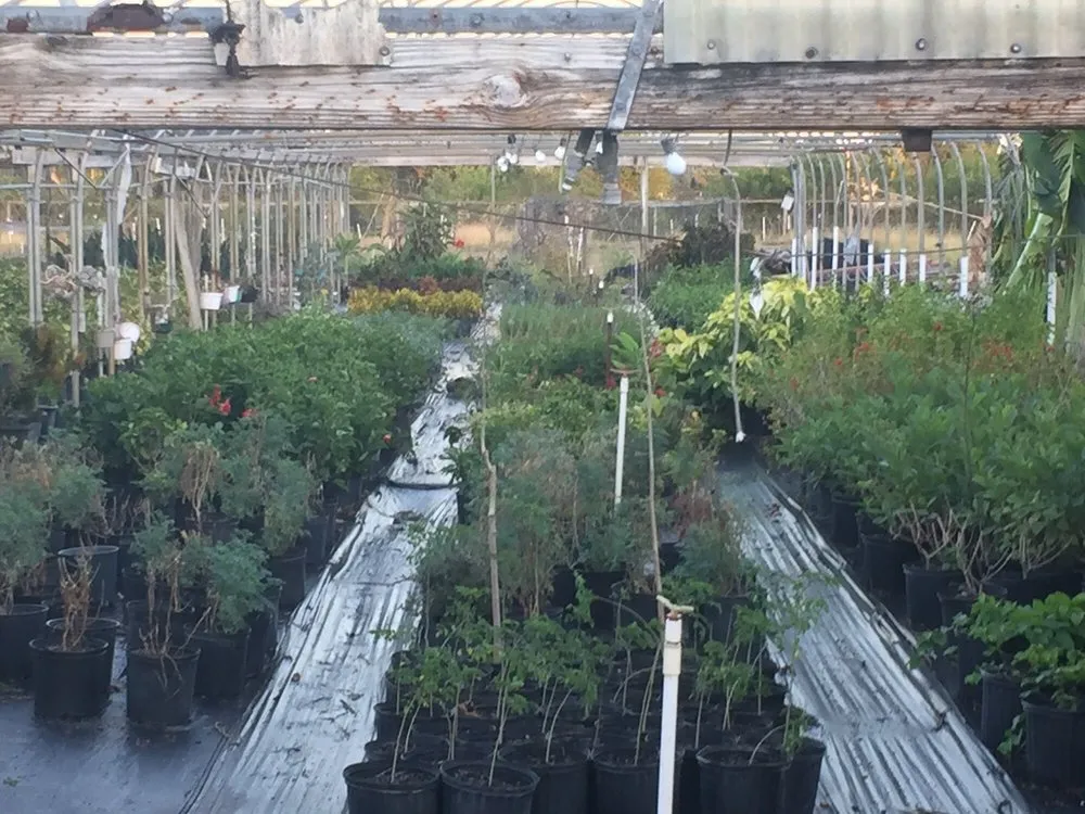 Custom lawn care service in Ruskin, FL by SunnyDays Nursery & Landscaping