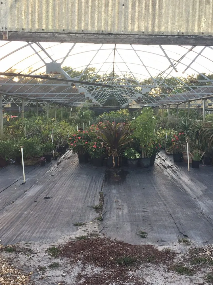 Trusted lawn mowing service for residential properties across Ruskin, FL - SunnyDays Nursery & Landscaping