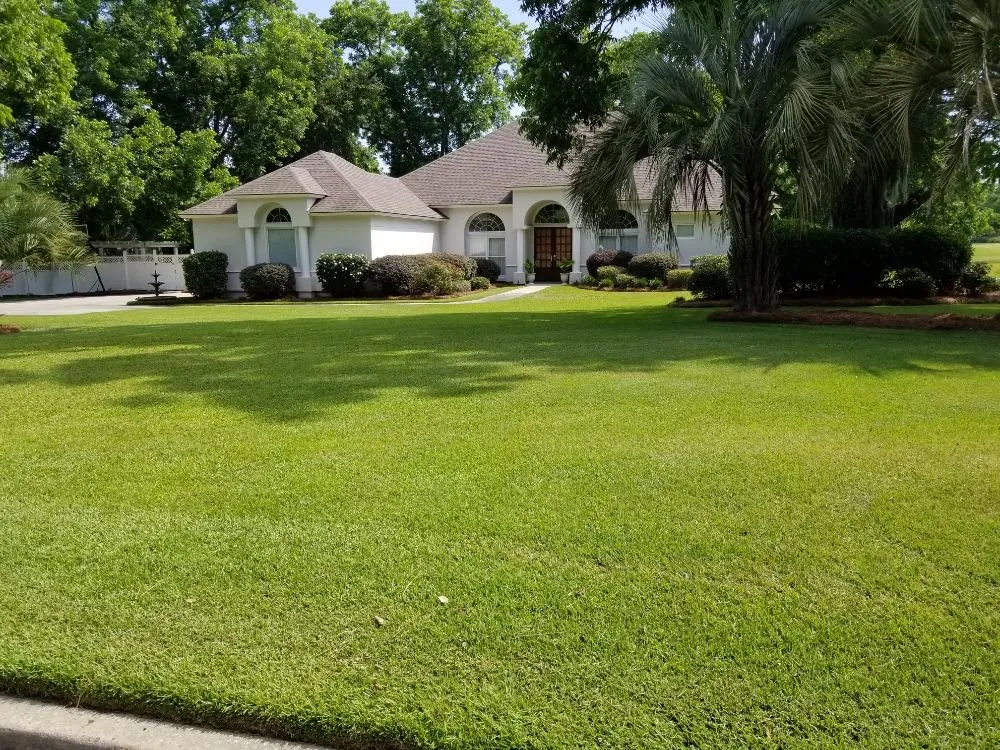 Trusted yard cleanup service in Valdosta, GA by Sunnyland Lawn Care