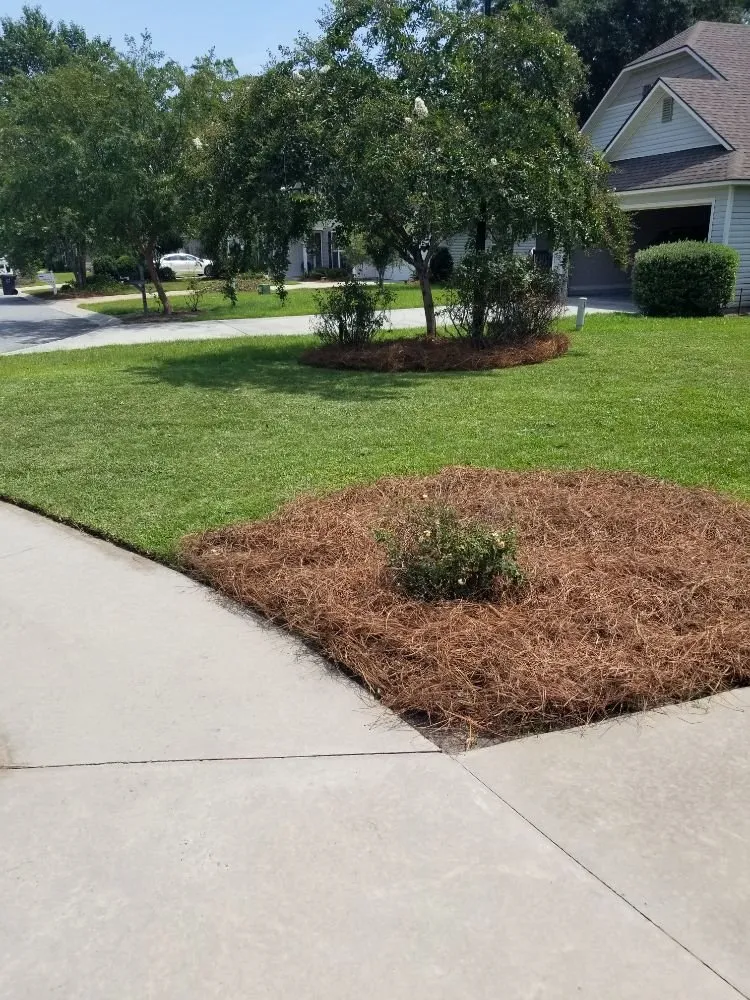 Trusted yard maintenance for homes in Valdosta, GA by Sunnyland Lawn Care