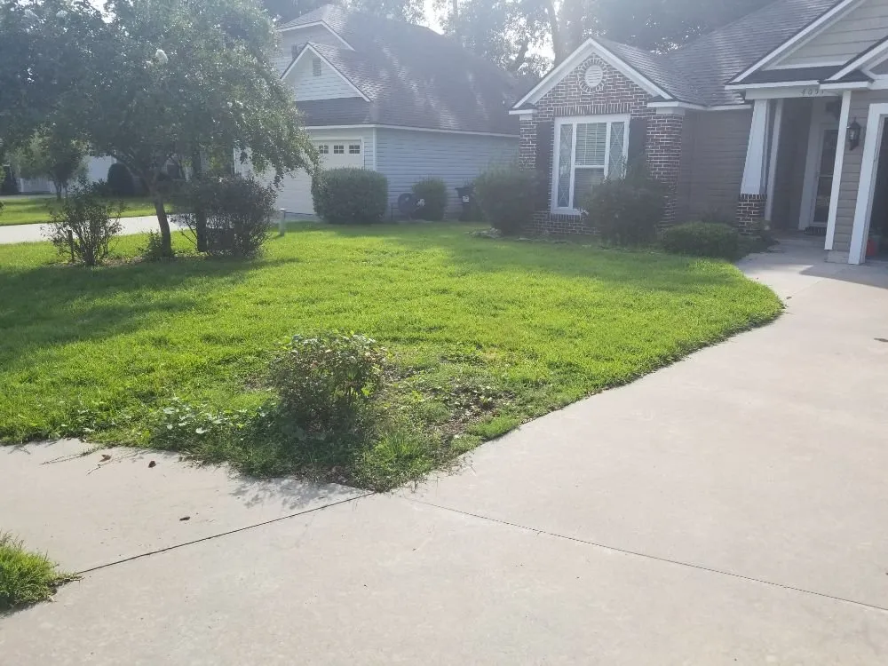 Local yard cleanup service near you across Valdosta, GA - Sunnyland Lawn Care