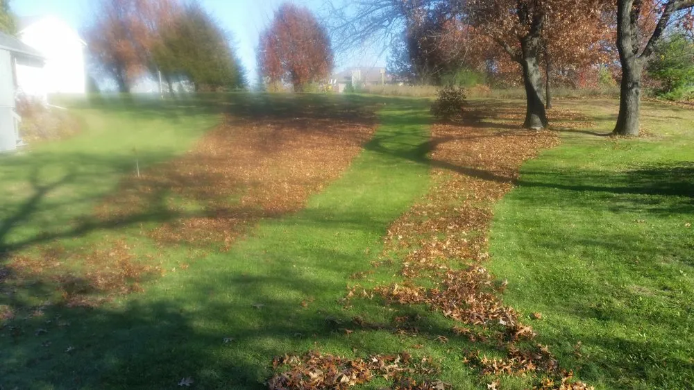 Affordable landscape design for residential properties in Pardeeville, WI by Sunnyridge Farm