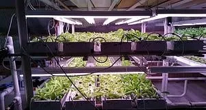 Reliable lawn mowing service in Pardeeville, WI by Sunnyridge Farm