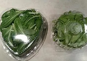 Local outdoor landscaping in Pardeeville, WI by Sunnyridge Farm