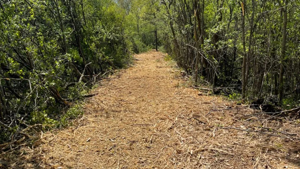 Professional lawn care service for homes in Bella Vista, AR by Sunnyside Earthworks & Land Management