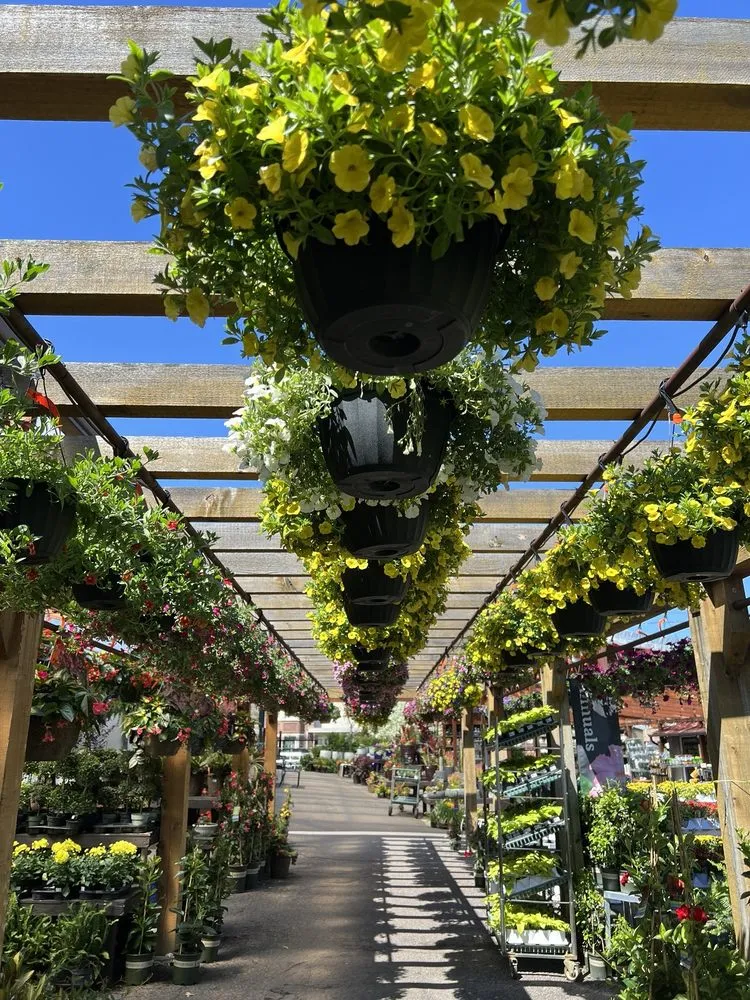 Top-rated landscape design near you across Minneapolis, MN - Sunnyside Gardens