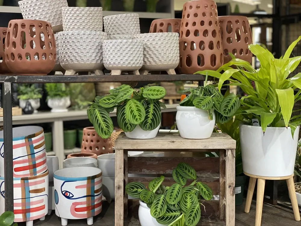 Top-rated landscaping services in Minneapolis, MN by Sunnyside Gardens