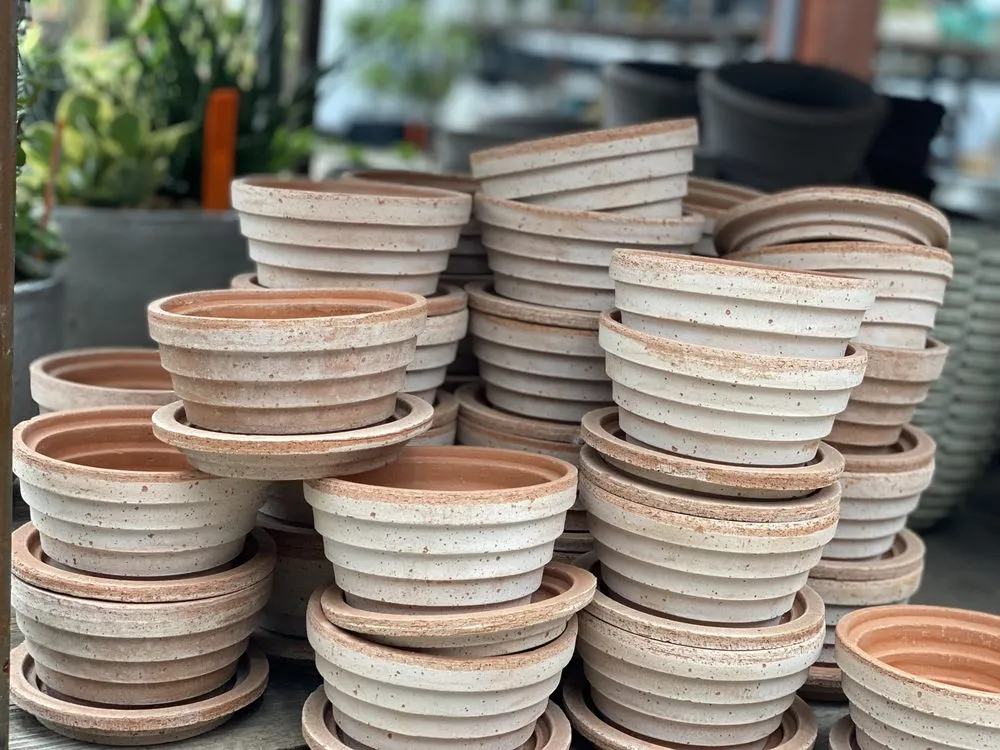 Expert garden landscaping for year-round maintenance in Minneapolis, MN by Sunnyside Gardens