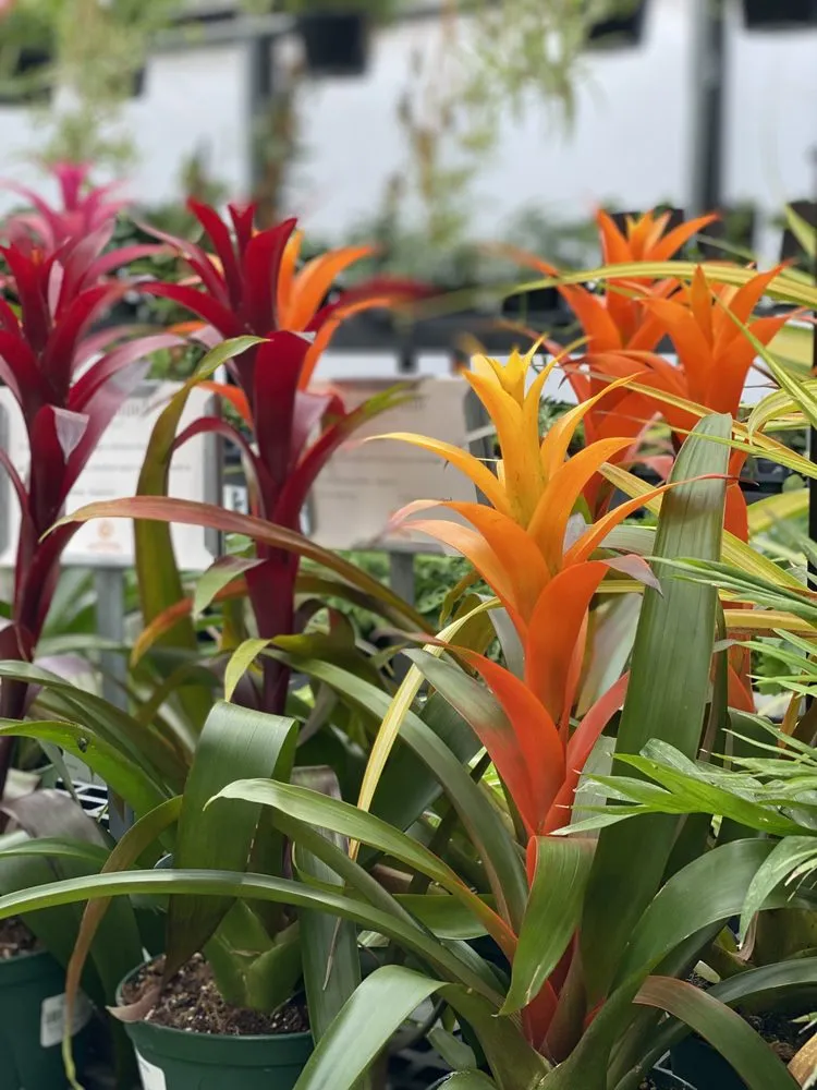 Trusted landscape design experts serving Minneapolis, MN - Sunnyside Gardens