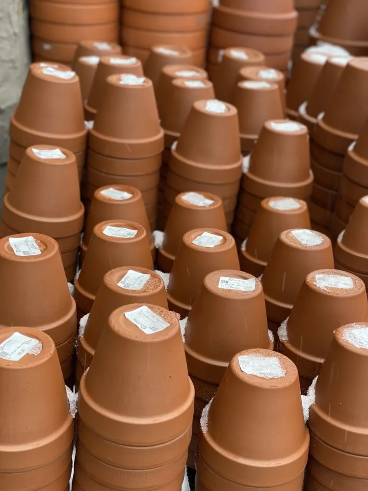 Professional yard maintenance in Minneapolis, MN by Sunnyside Gardens