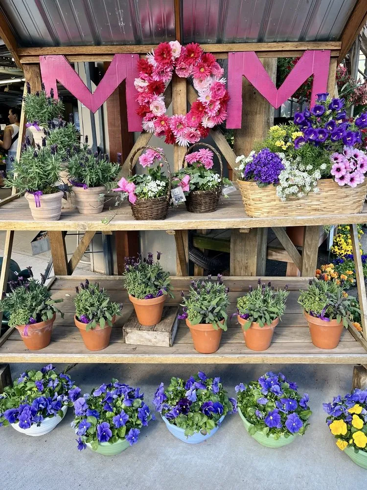 Affordable outdoor landscaping in Minneapolis, MN - Sunnyside Gardens