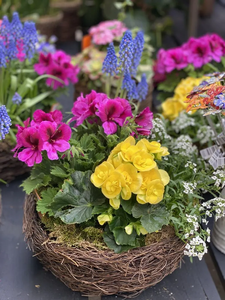 Local lawn care service for homes in Minneapolis, MN by Sunnyside Gardens