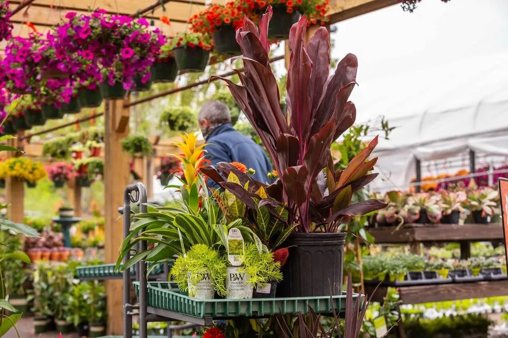 Reliable yard cleanup service with custom design in Minneapolis, MN by Sunnyside Gardens