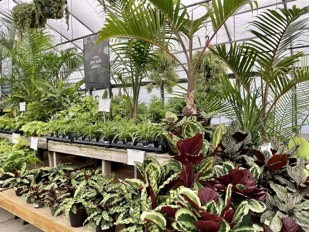 Top-rated landscape design for homes in Minneapolis, MN by Sunnyside Gardens