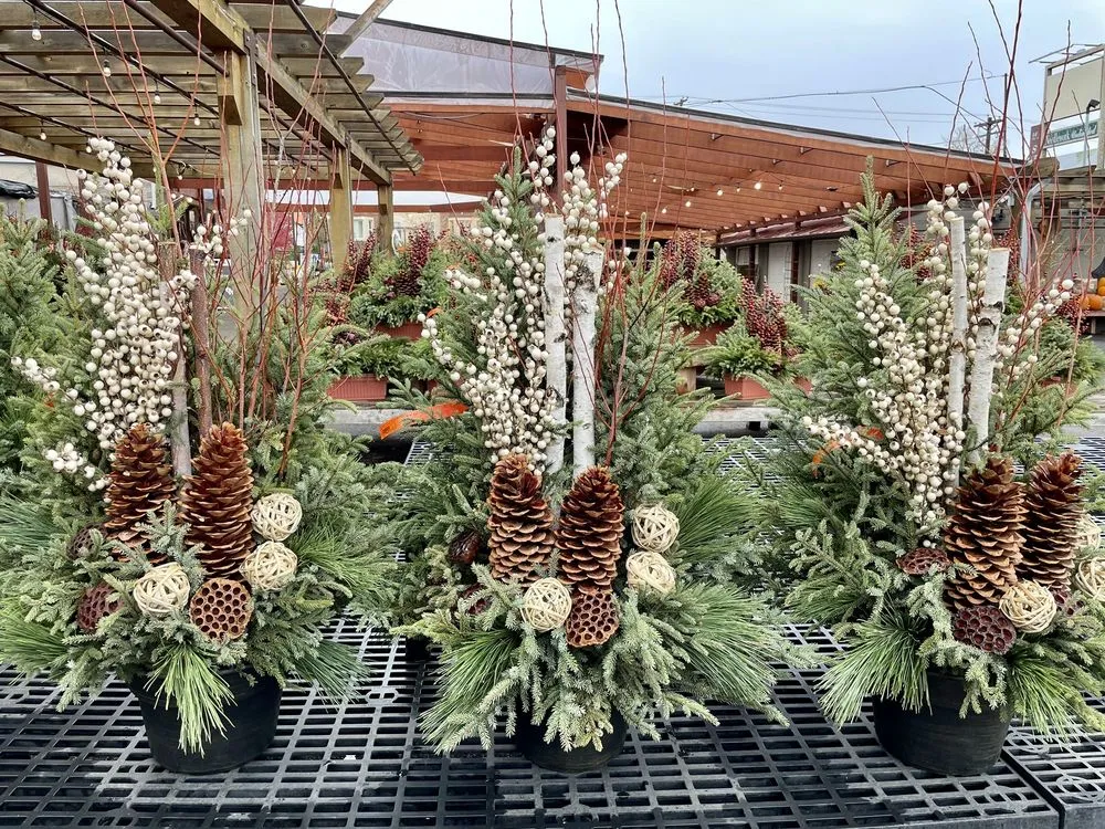 Expert residential landscaping for beautiful yards across Minneapolis, MN - Sunnyside Gardens