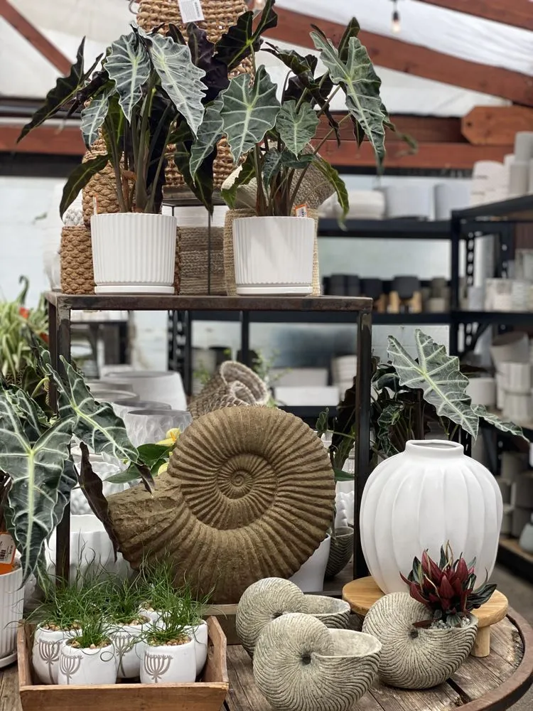 Reliable lawn care service in Minneapolis, MN - Sunnyside Gardens