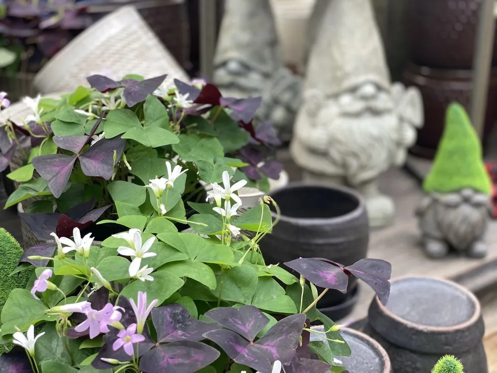 Reliable garden landscaping experts serving Minneapolis, MN - Sunnyside Gardens