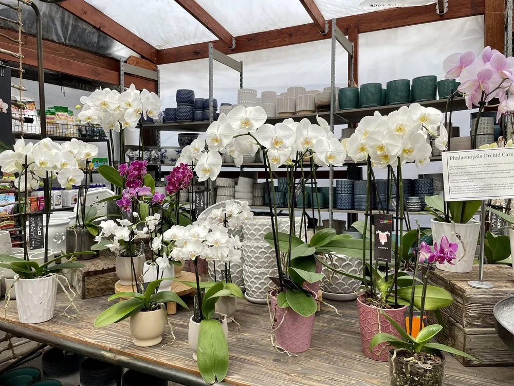 Affordable lawn care service experts serving Minneapolis, MN - Sunnyside Gardens