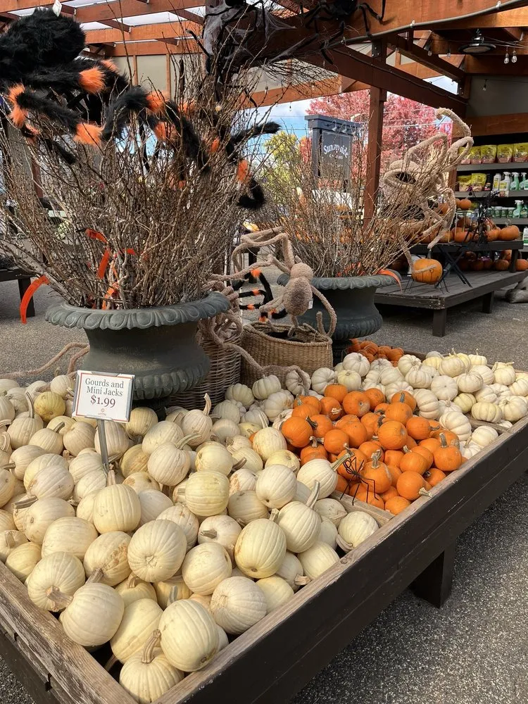 Custom landscape installation in Minneapolis, MN - Sunnyside Gardens