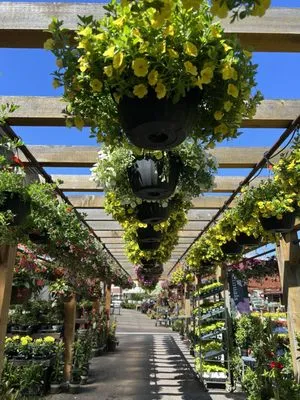 Sunnyside Gardens Logo