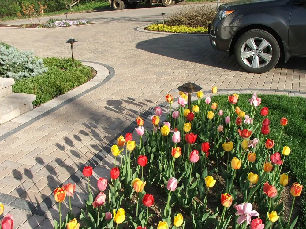 Expert yard maintenance for homes across Verona, WI - Sunnyside Landscapes