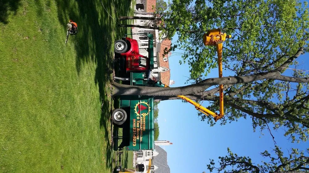 Reliable residential landscaping experts serving West Chicago, IL - Sunnyside Landscaping & Tree Service