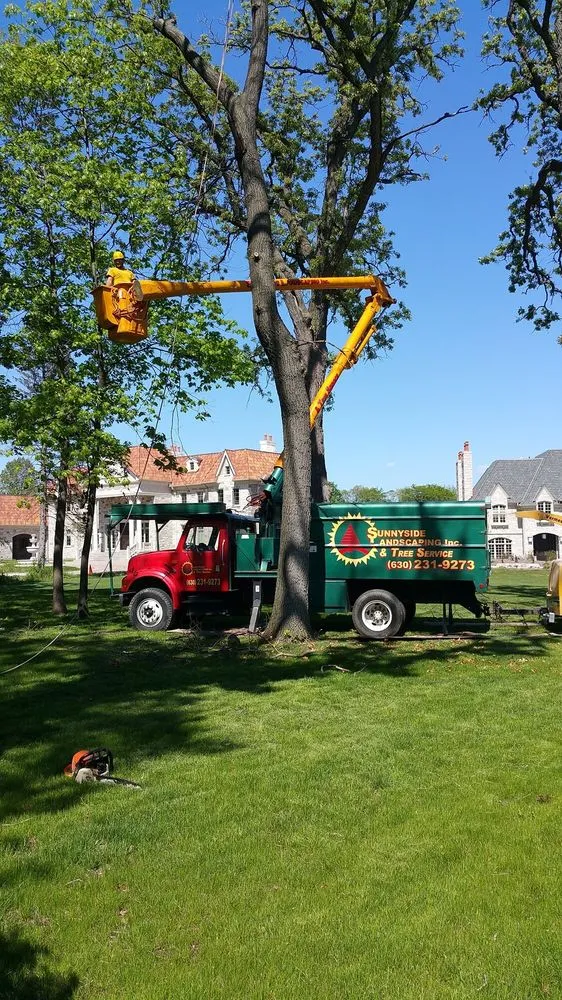 Reliable landscaping services for beautiful yards in West Chicago, IL by Sunnyside Landscaping & Tree Service