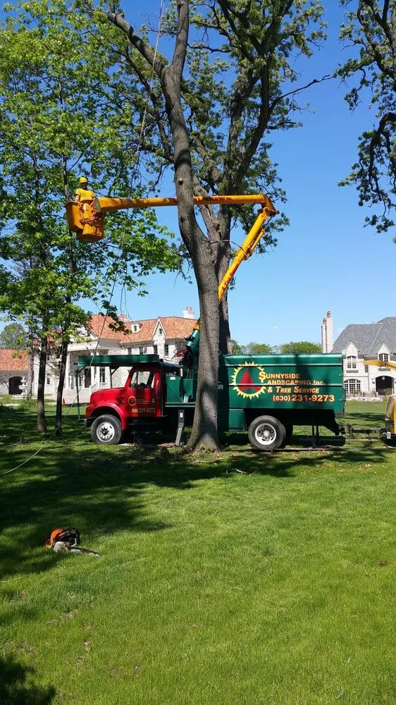 Local residential landscaping for homes across West Chicago, IL - Sunnyside Landscaping & Tree Service