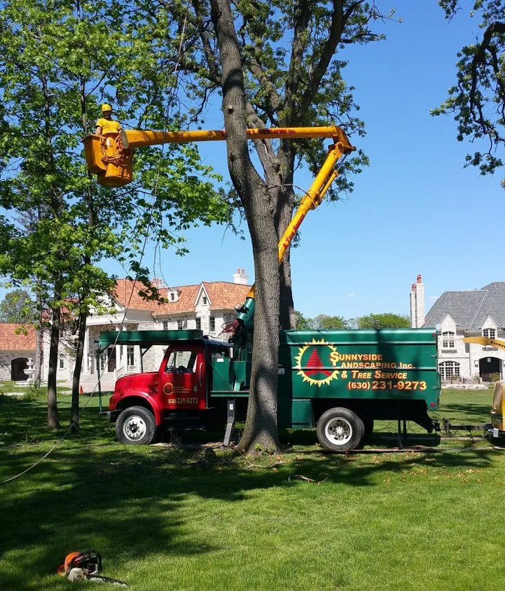 Affordable yard cleanup service with custom design in West Chicago, IL by Sunnyside Landscaping & Tree Service