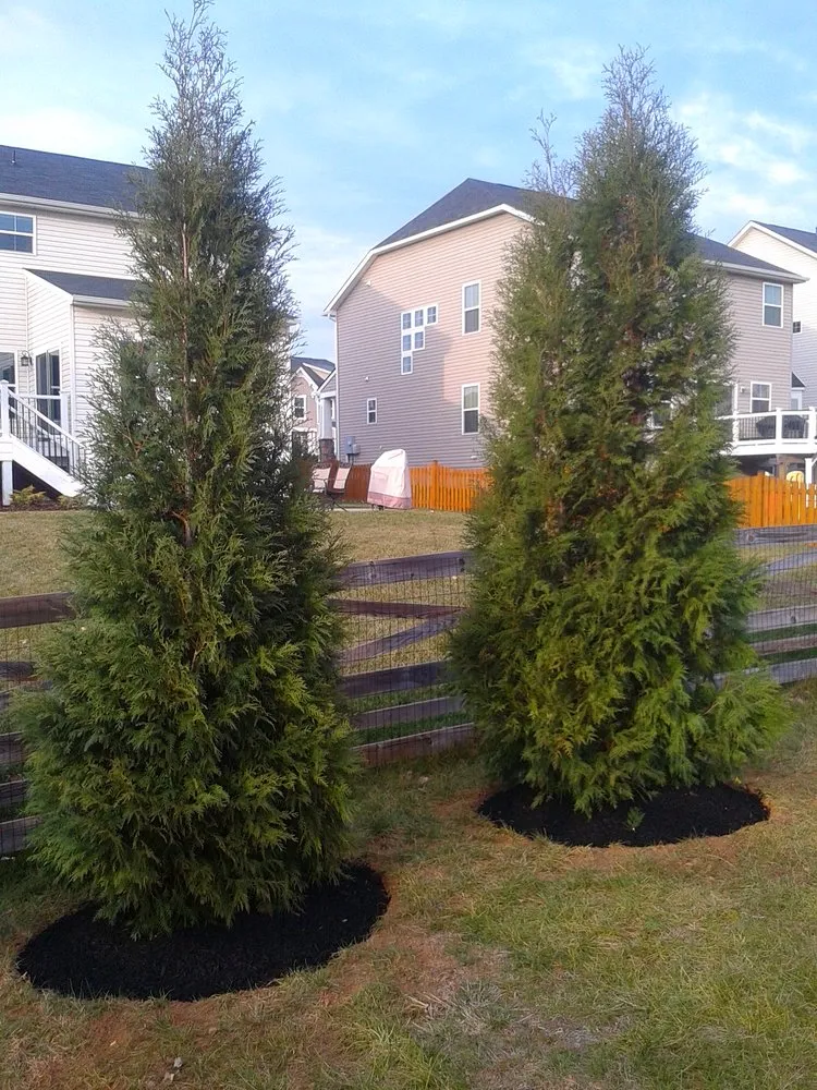 Local yard maintenance with custom design in Gore, VA by Sunnyside Landscaping